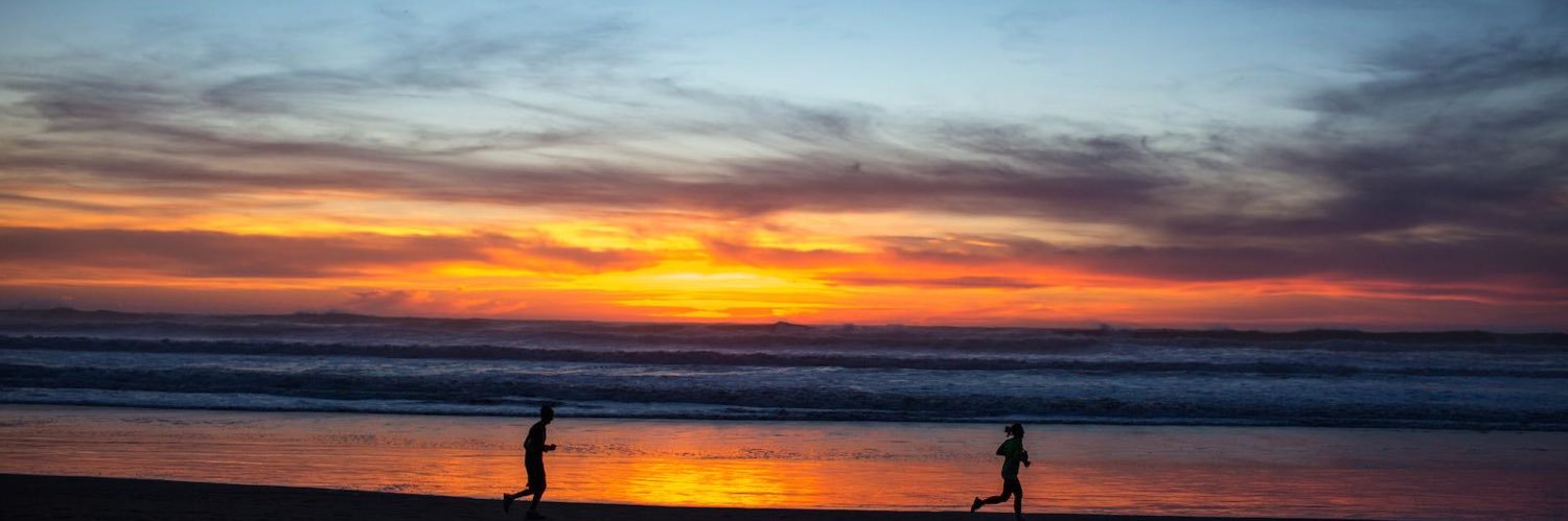 David Sakamoto banner