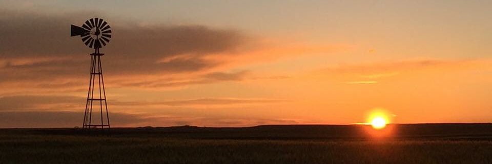 Lorrell Bellotti banner