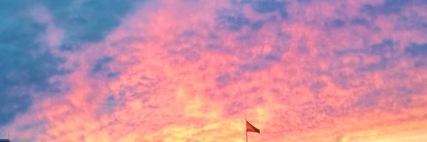 Lampinh0 Profile Banner