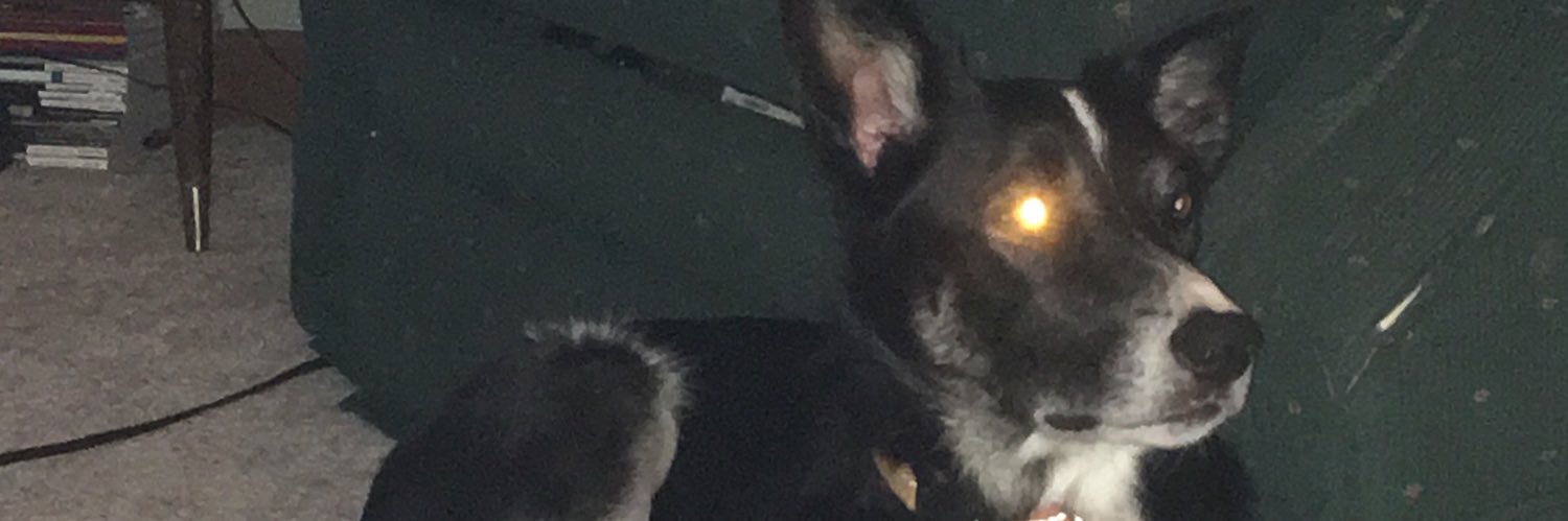 Jthompson44's profile banner image