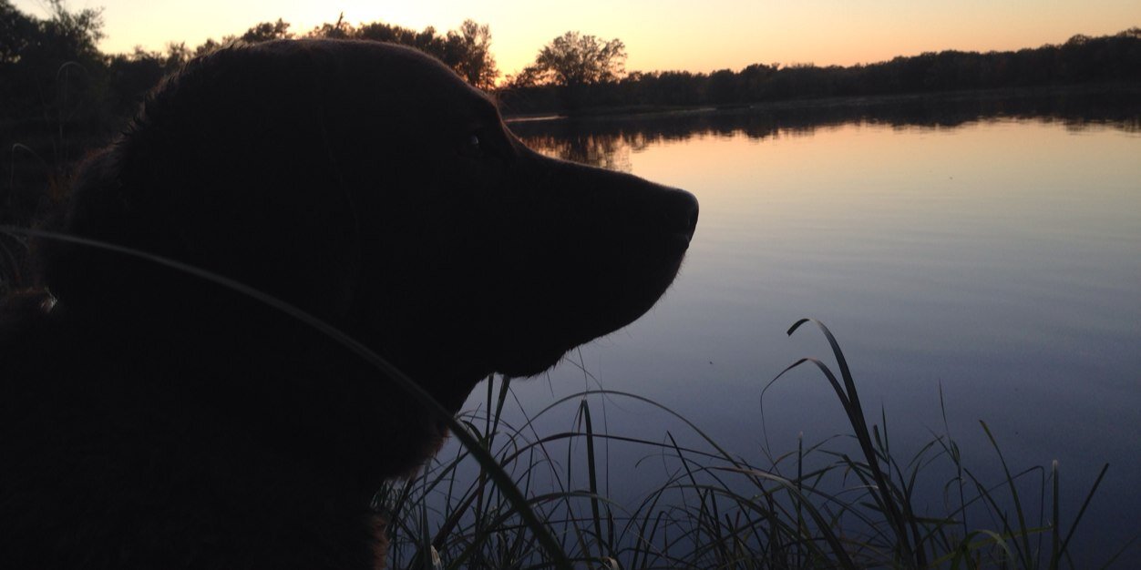 Ray5271's profile banner image