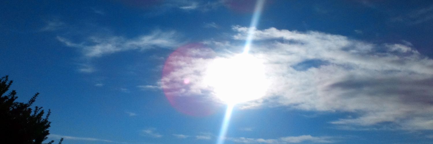 purposefulpixie's profile banner image