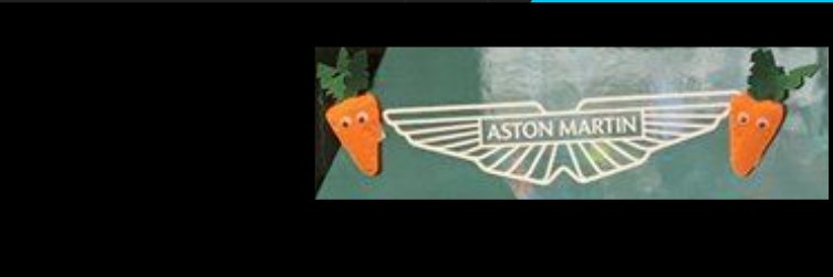 ntesdeayer's profile banner image