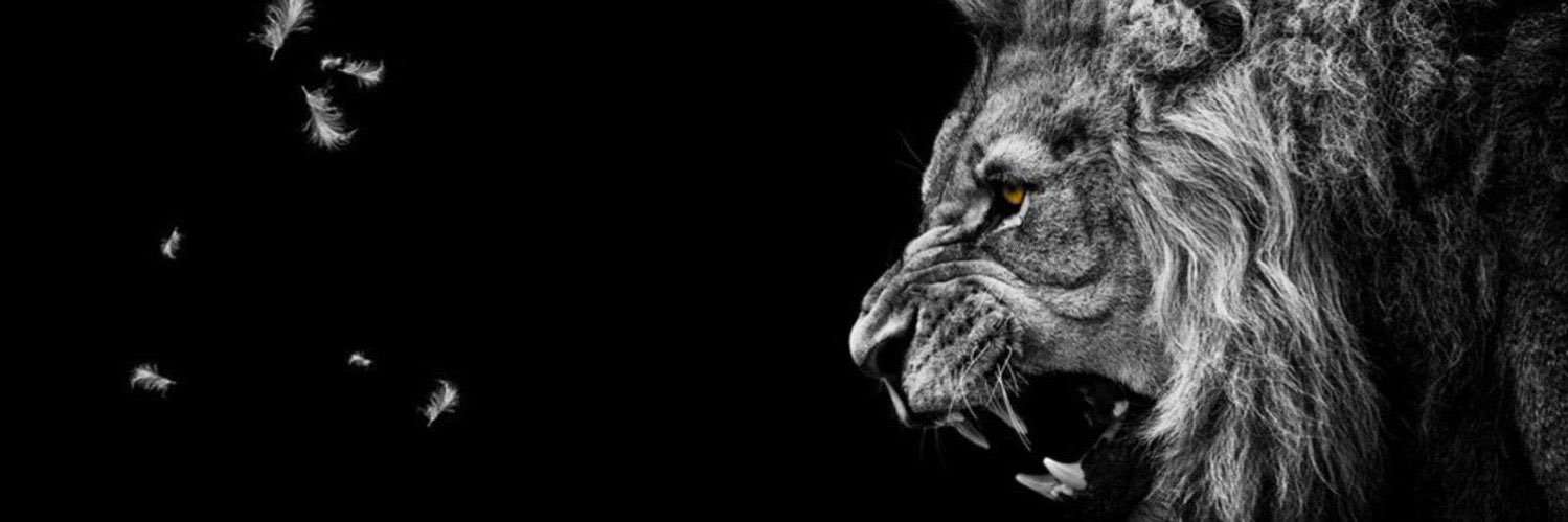 Isaac Lorentz banner