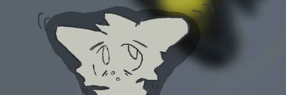 Quacker_Jack_'s profile banner image