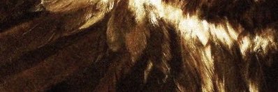 CherriPips's profile banner image