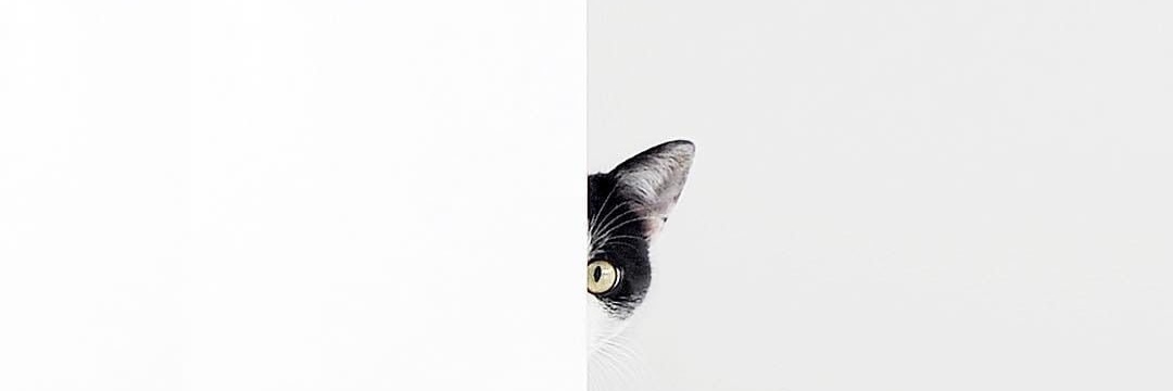 emmafatmaa's profile banner image