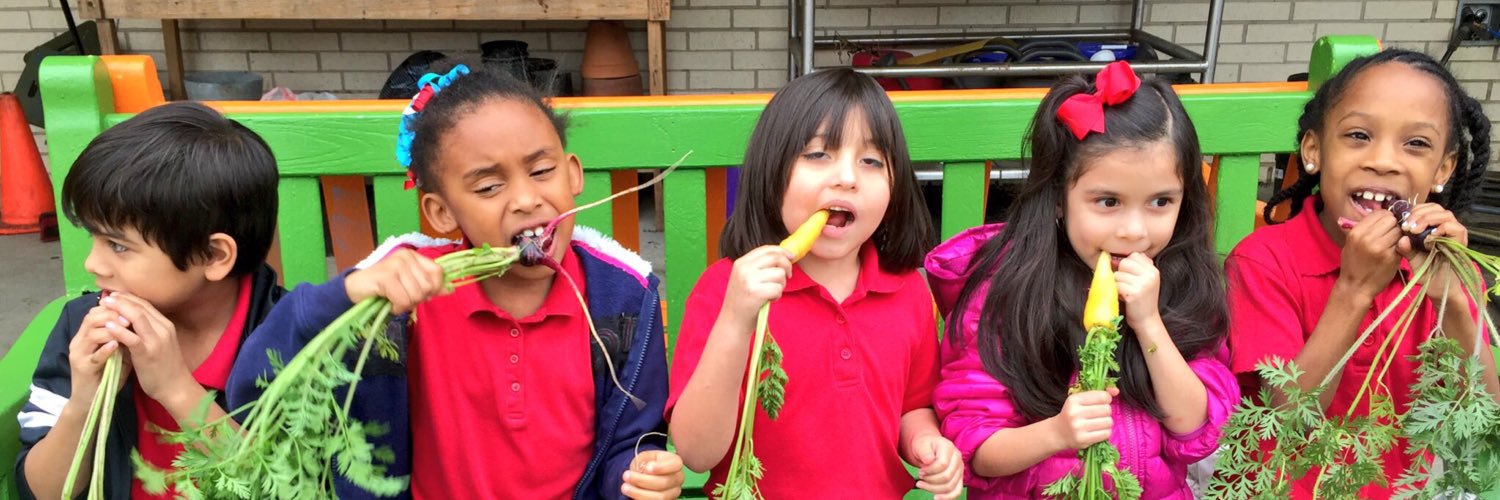 Kellie Karavias banner