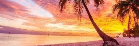 🎂 banner