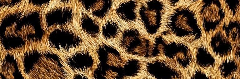 𝐸𝑠𝑟𝑎 banner