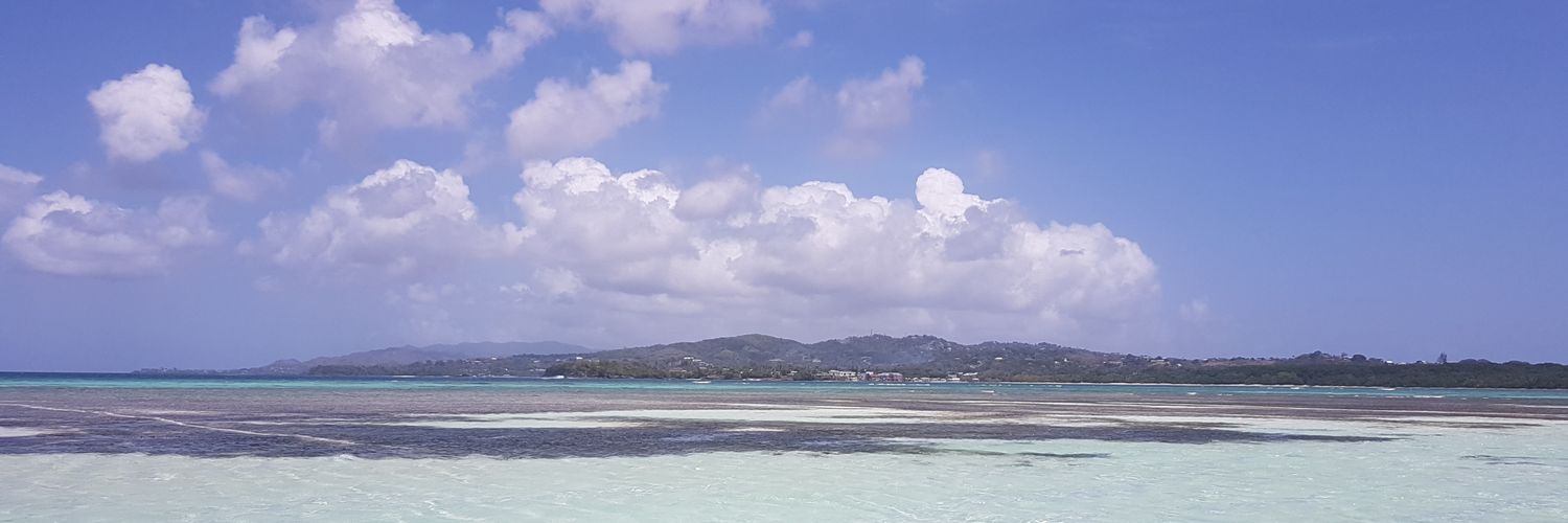 dniles 🇨🇦 *fully vaccinated and boosted 💉💉💉💉 banner