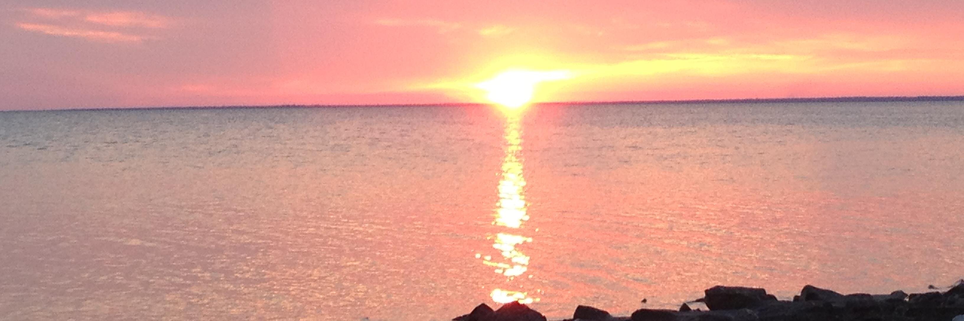 deniseschimm's profile banner image