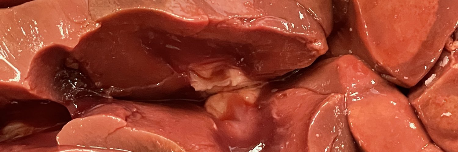puppy 🥩 banner