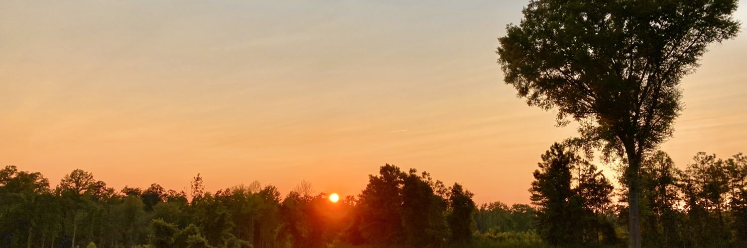 thebaconatrix's profile banner image