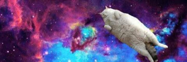 Sailor Descepción banner
