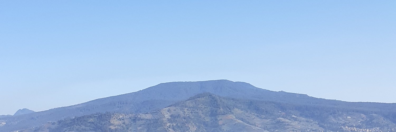 dinismu's profile banner image