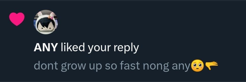 any's hair clips banner