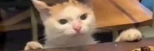 orealmilk's profile banner image