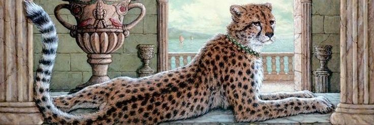 soyyyara's profile banner image