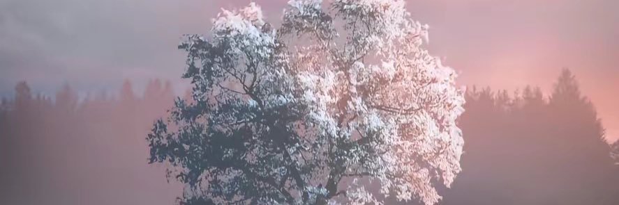 seemtb0's profile banner image