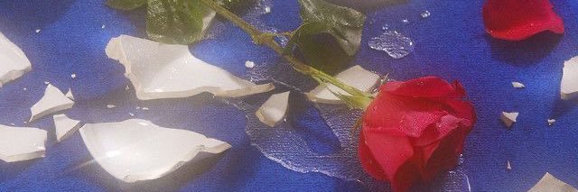 Birds of Paradise banner
