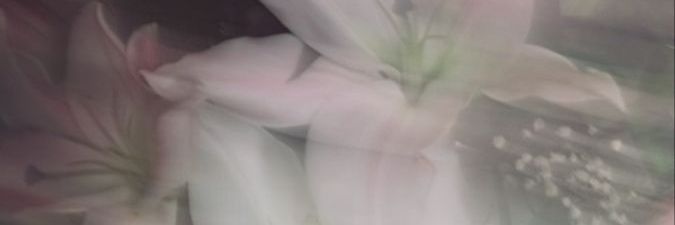 _hdramadoll's profile banner image