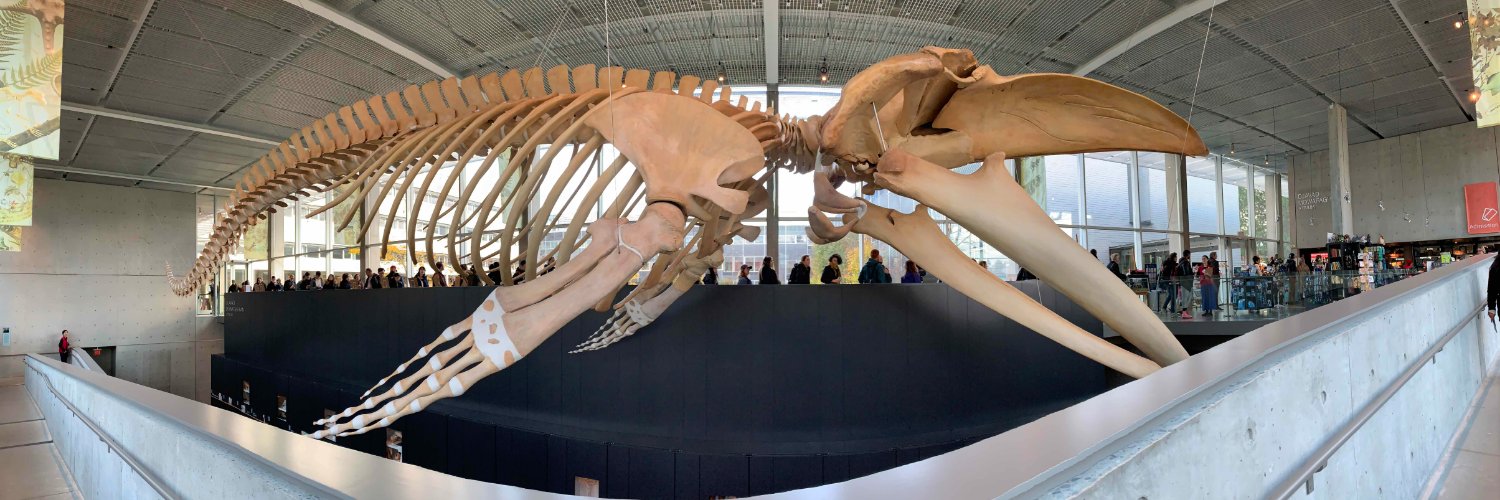 Beaty Biodiversity Museum 🐳 banner