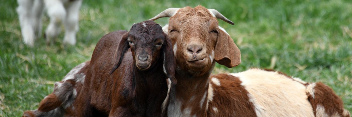 Howard County Times banner