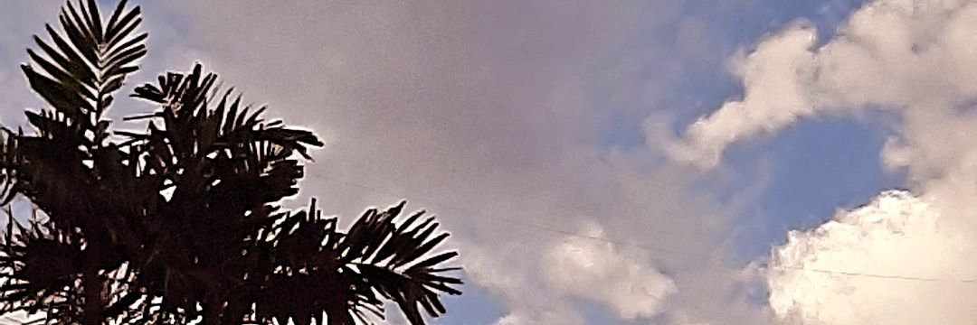TimothyAndrei's profile banner image