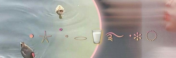flviel's profile banner image