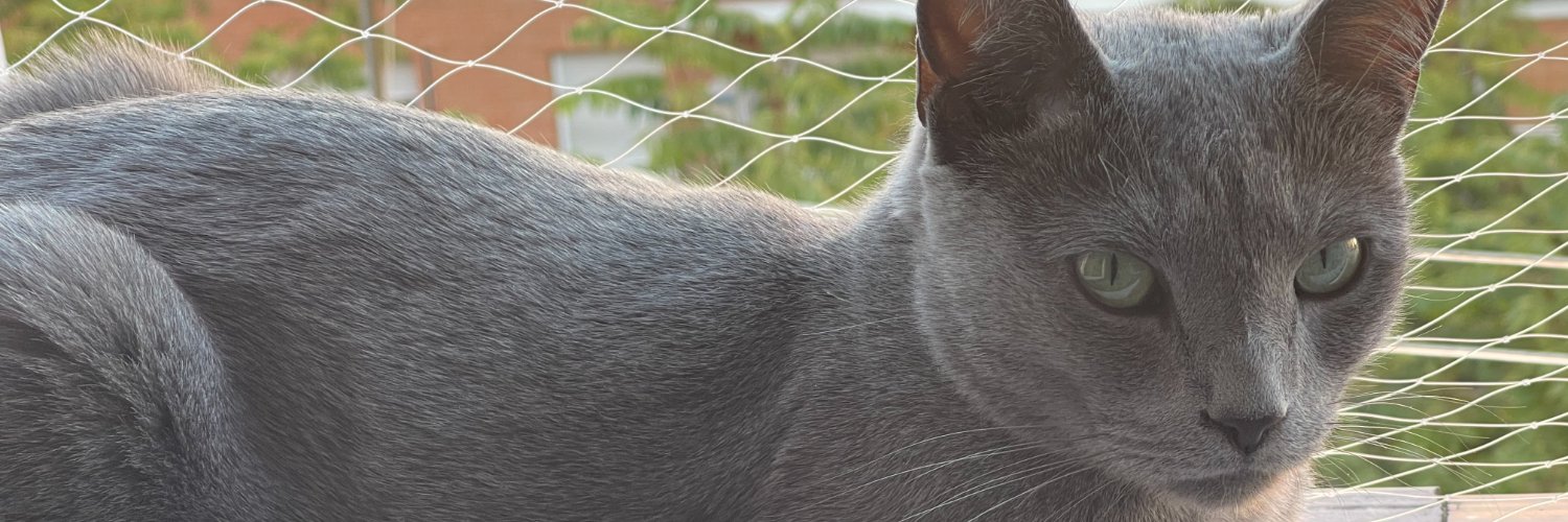 Alejandro Cuartas banner