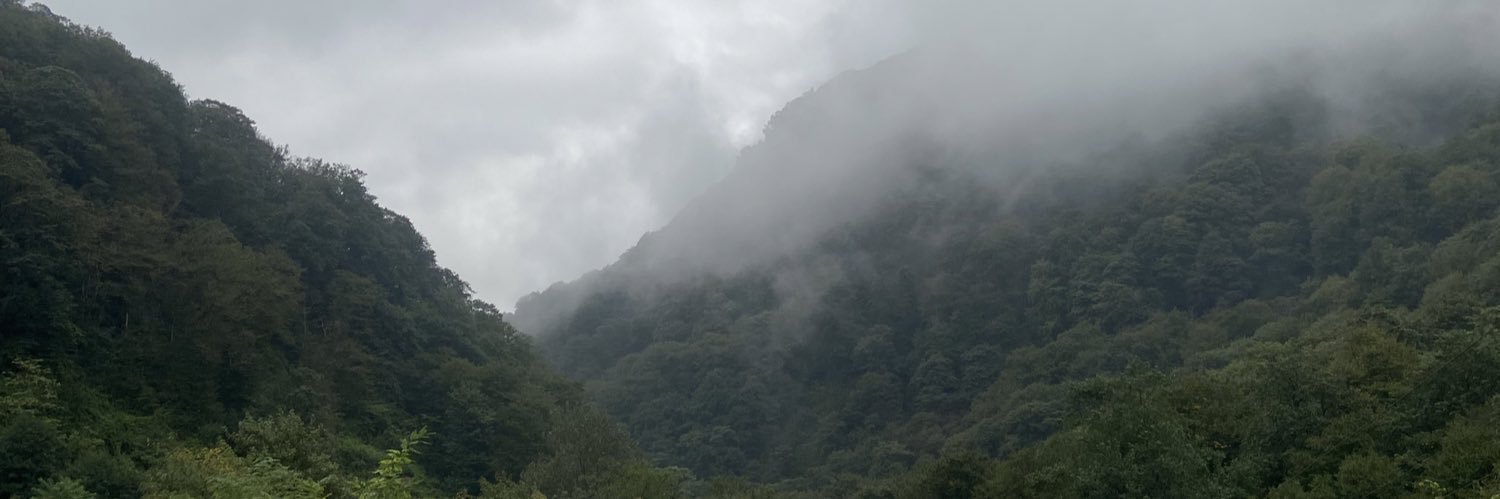 MinervaInPrison's profile banner image