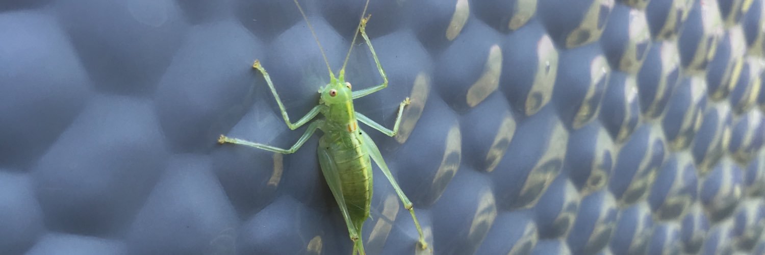 Simon Janssen banner