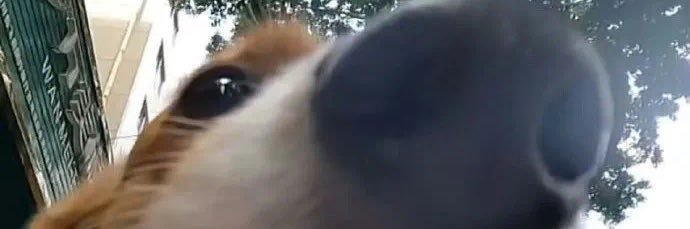 snaifk's profile banner image