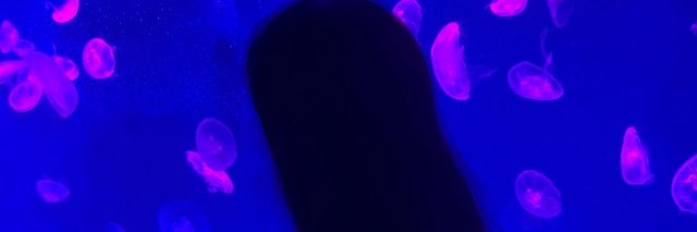 PranksFriday's profile banner image