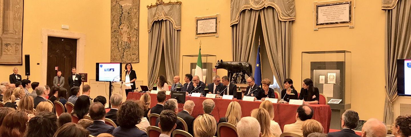 Vincenzo Varagona banner