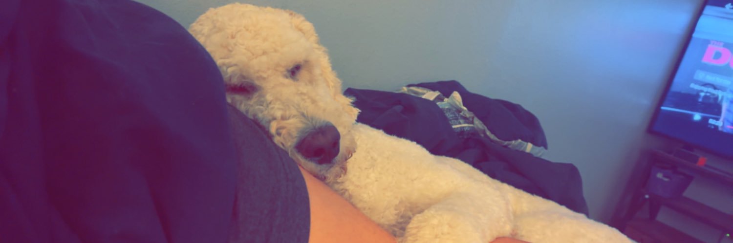 brady_bare's profile banner image