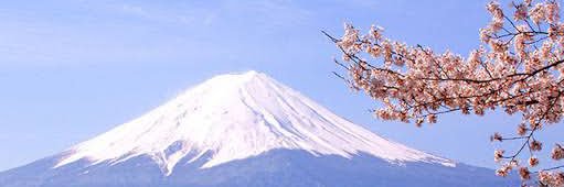 JapanCryptoInfo banner