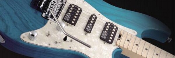 SCHECTER GUITAR JPN banner
