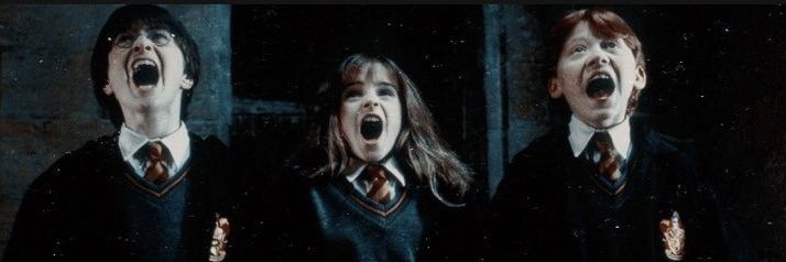 MerMer banner
