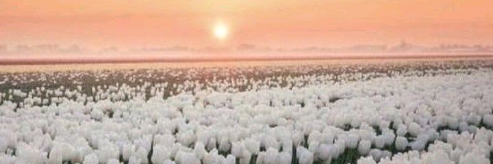 Ccm1812's profile banner image
