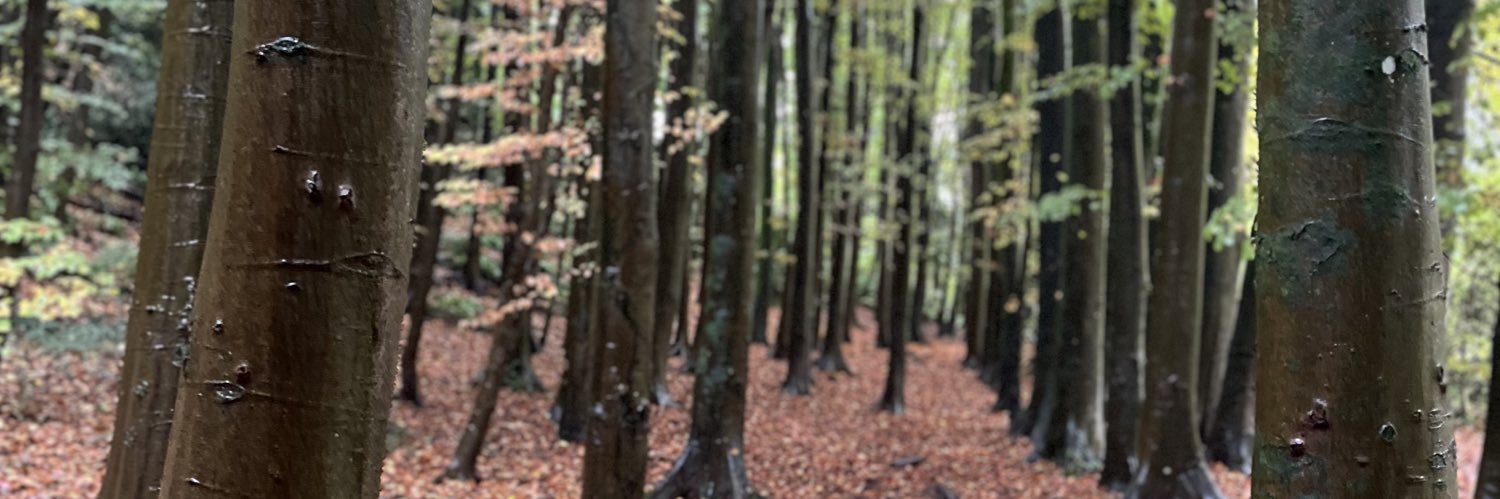 Atmosphere Risks banner