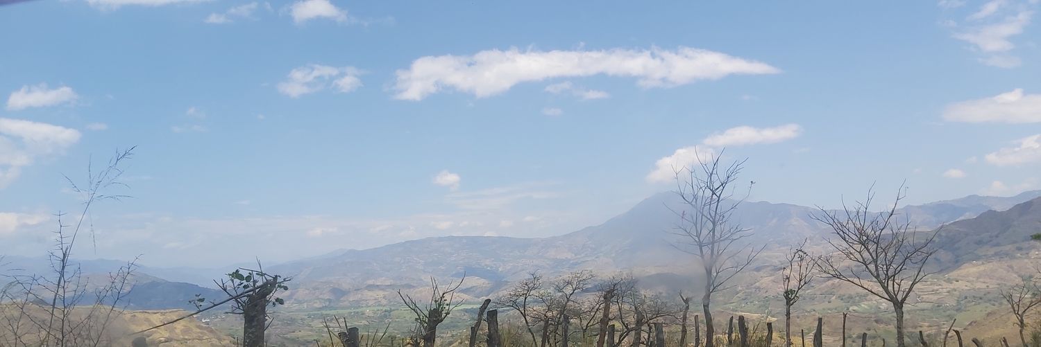 coverodz's profile banner image