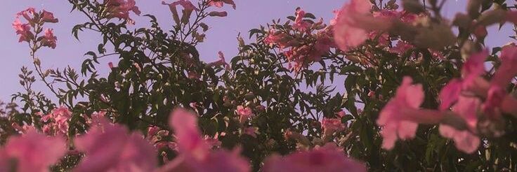 UMDDerilon's profile banner image