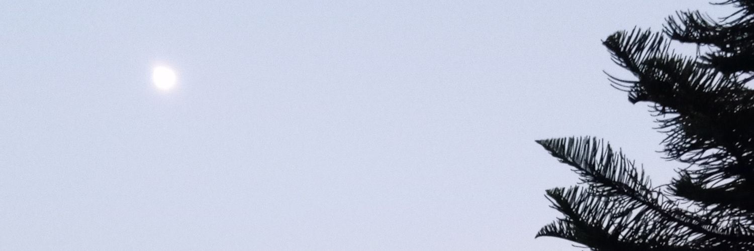 maaular's profile banner image