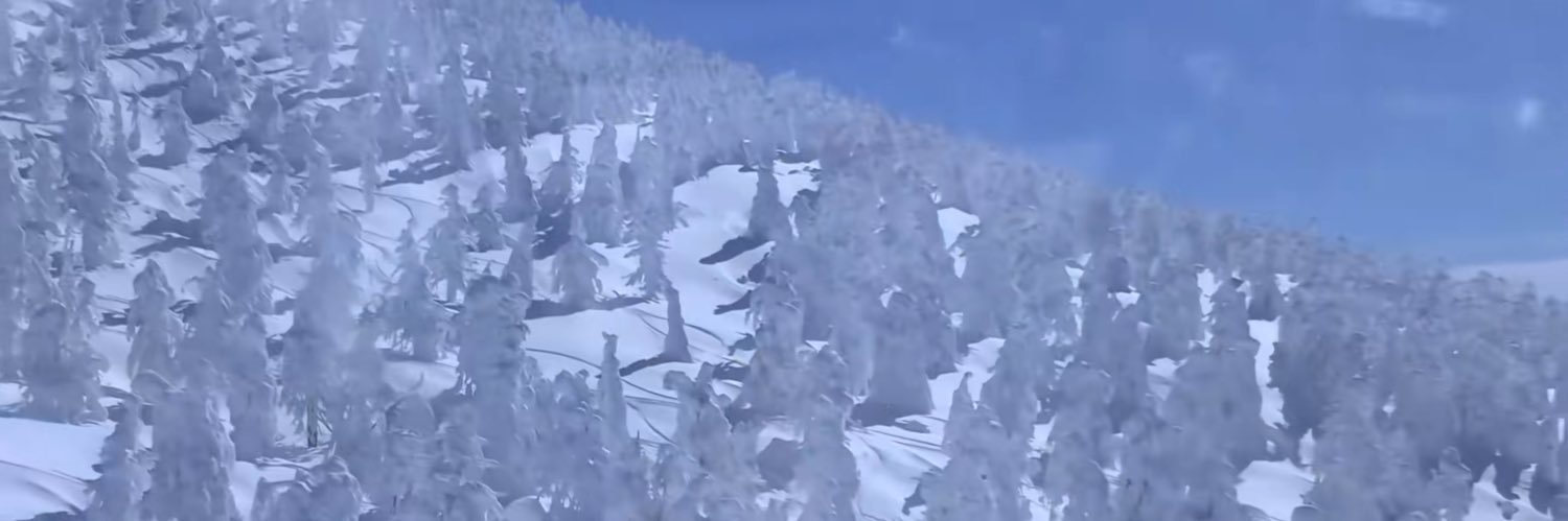 もちッ 🫓🦈 banner