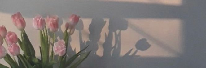 _jwhy_si2's profile banner image
