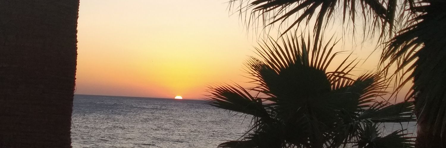 noe_tuiter's profile banner image