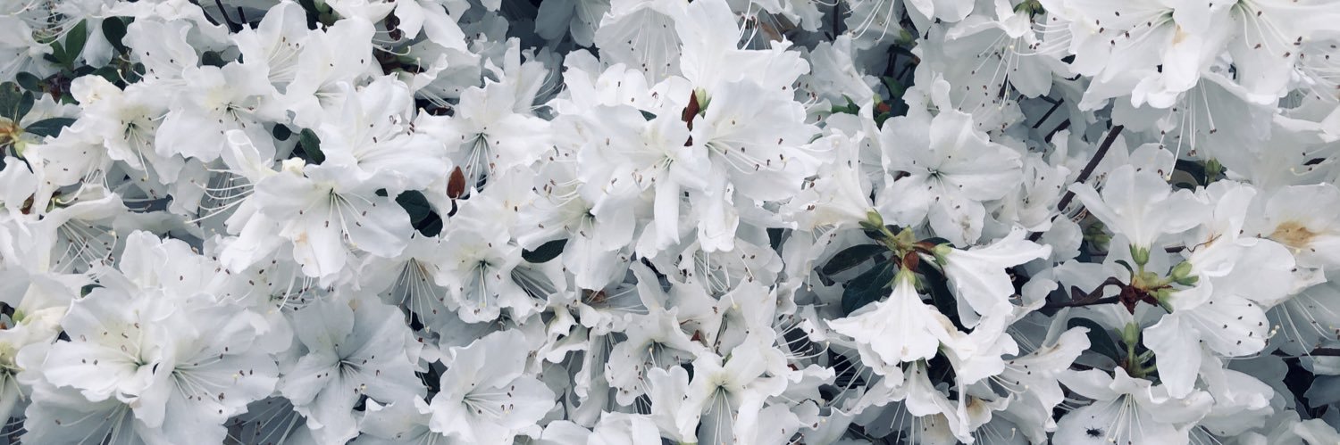 robertdocbarham's profile banner image