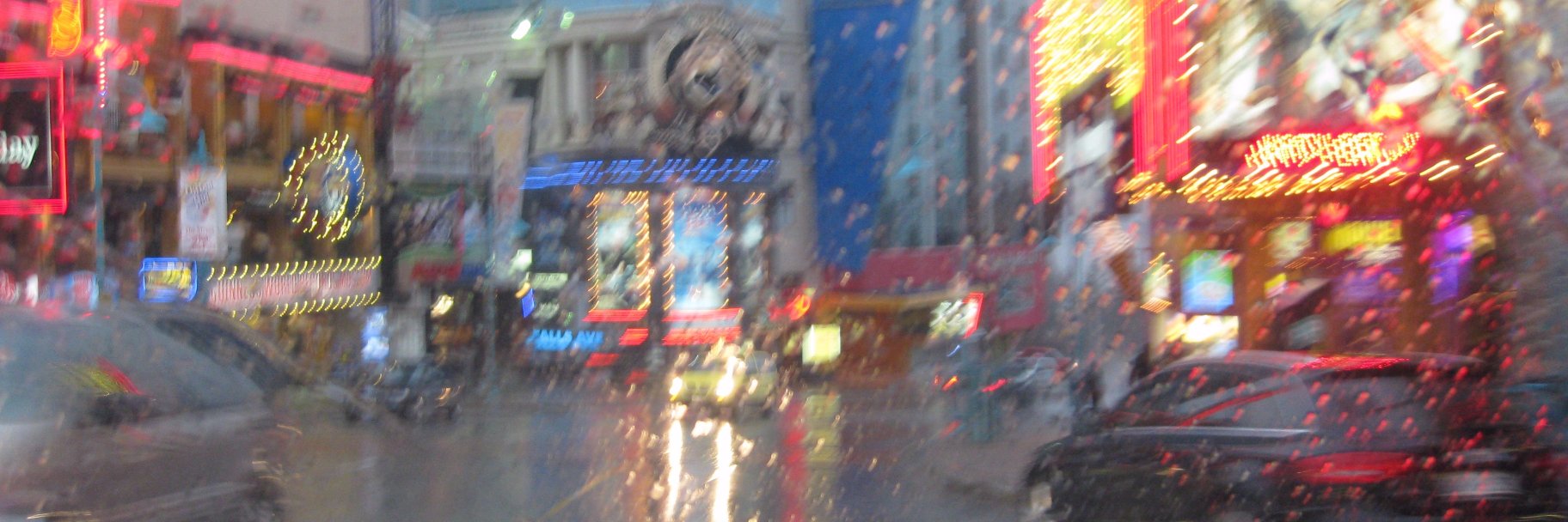 Aneesha Singh banner